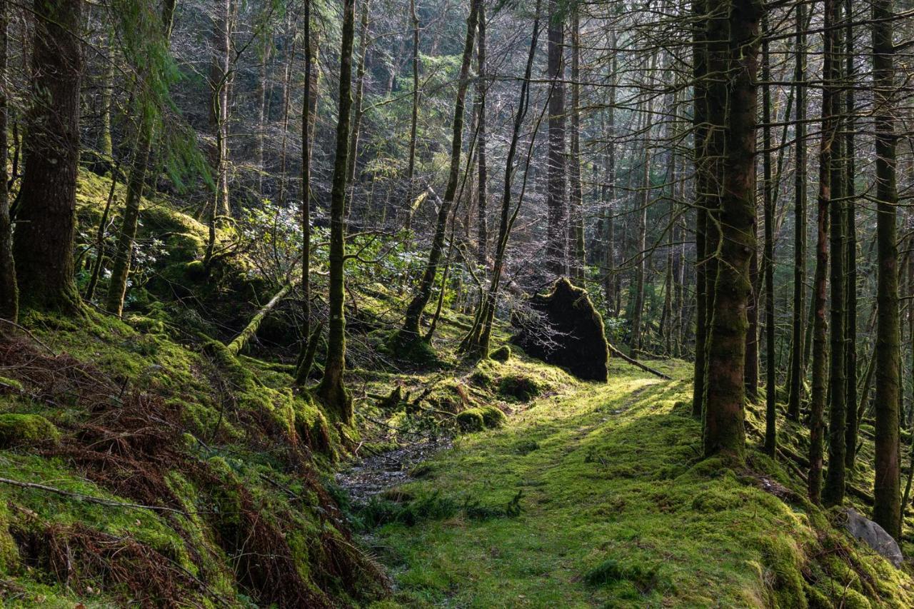 Inveraray Hostel Dış mekan fotoğraf